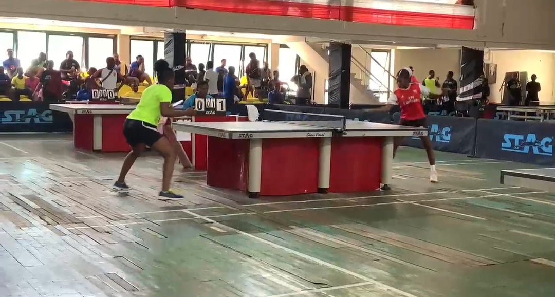 Professional table tennis coaching session